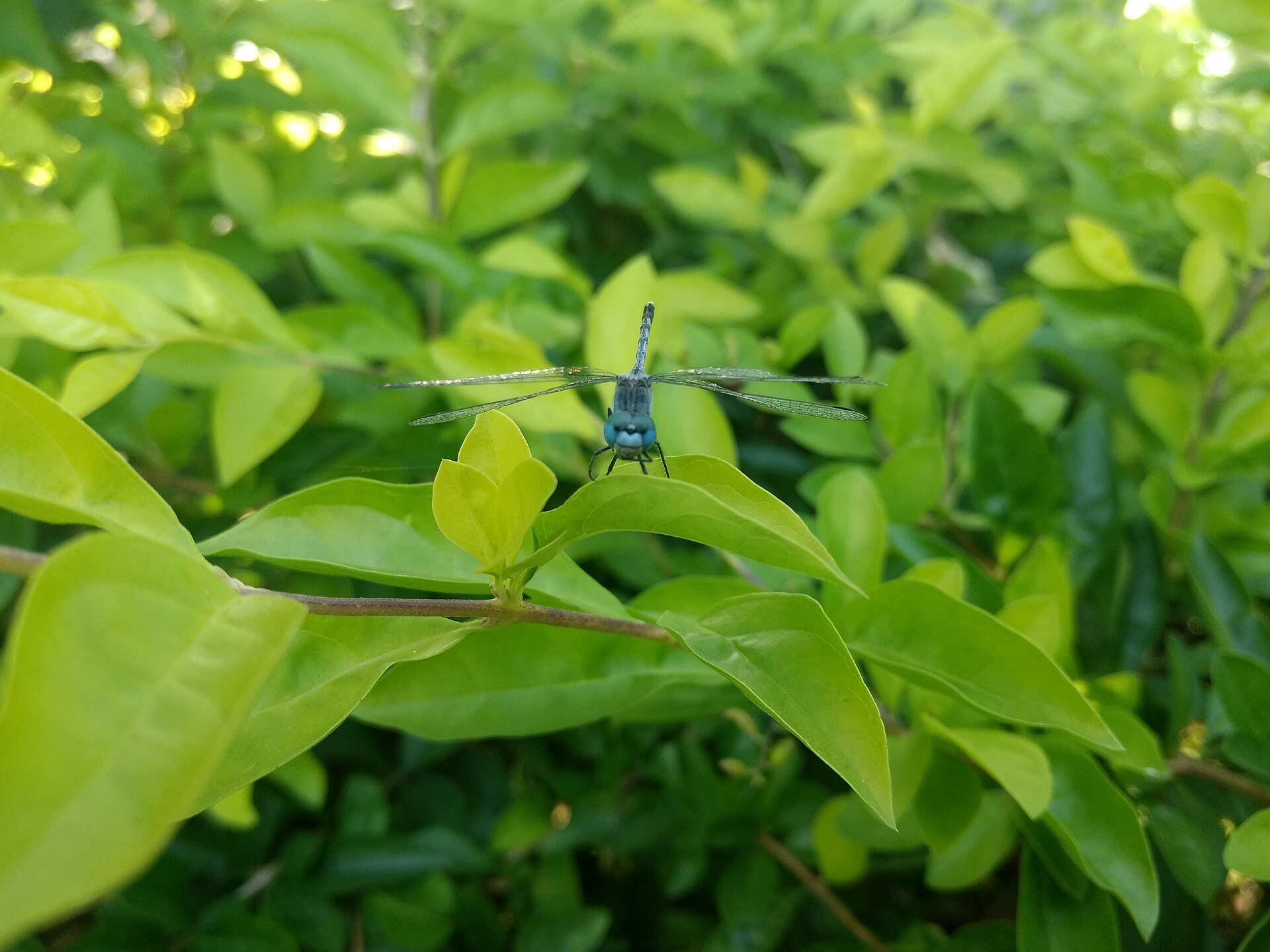 Beauty of nature